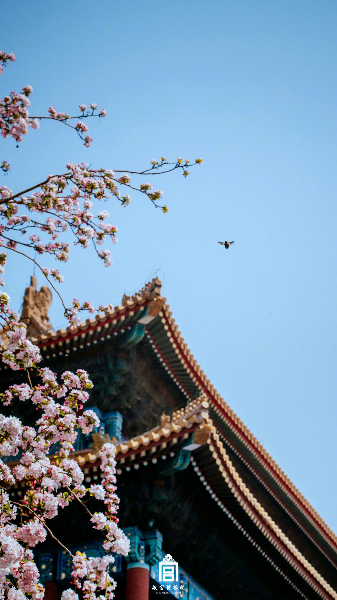 陈凤馨