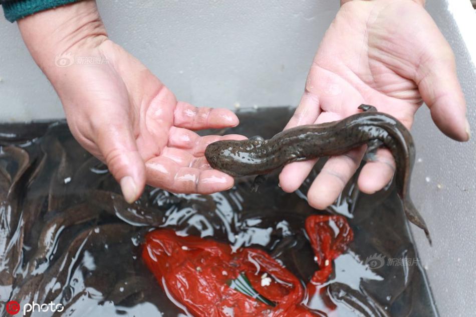 回盛生物：无逾期对外担保