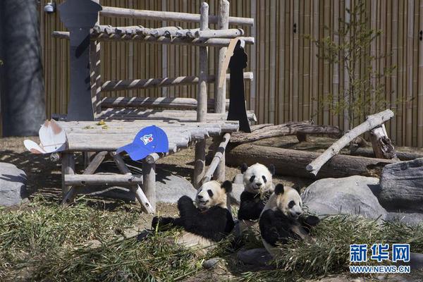 a股梭哈群，加入先报年级学院证明