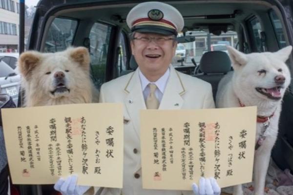 店主收到1.9万退款