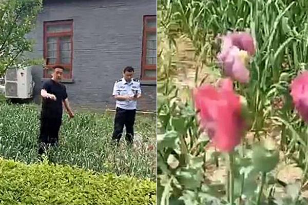 天津津门虎vs辽宁铁人