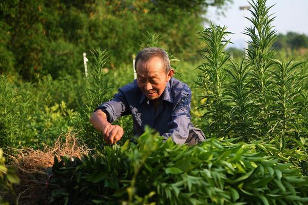 金永浩：对远征军说一声抱歉，我们有信心完成保级目标