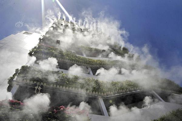 天网行动2026正式启动