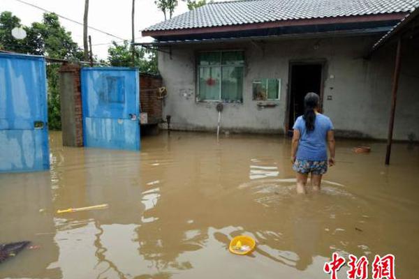 赵会：中认国创为企业“出海”提供高质量技术服务与国际市场准入介绍