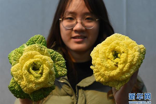 多地发布数字人民币试点相关数据和进展