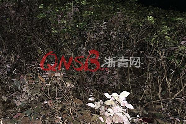 王志安