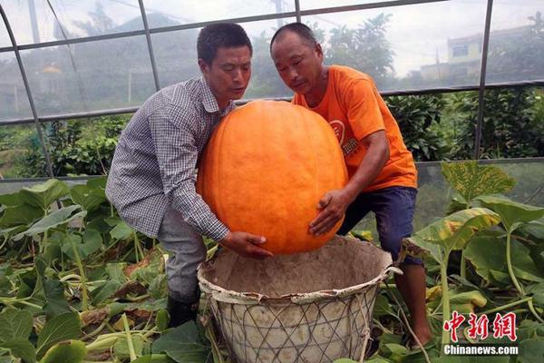何三畏