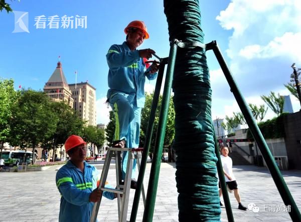 黄金为何涨不动了？国金证券给出中长期预判！
