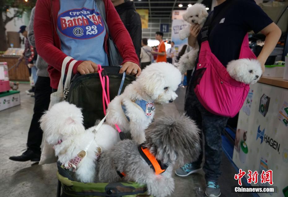 传统工业股受益于ai热潮 跟踪芯片板块密切